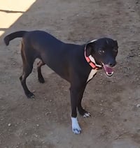 Fiona - Photo 4