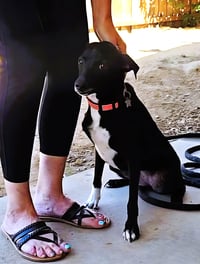 Fiona - Photo 3