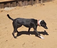 Fiona - Photo 9
