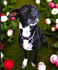 Fiona - Photo 2