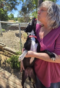 Fiona - Photo 5