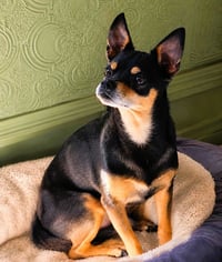 Delgado - Photo 2