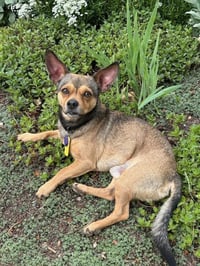Colby - Photo 2