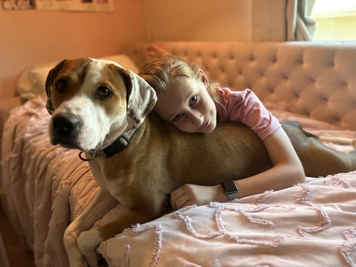 OTIS (COURTESY) - Hound available for adoption