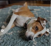 Otis (Courtesy) - Photo 3