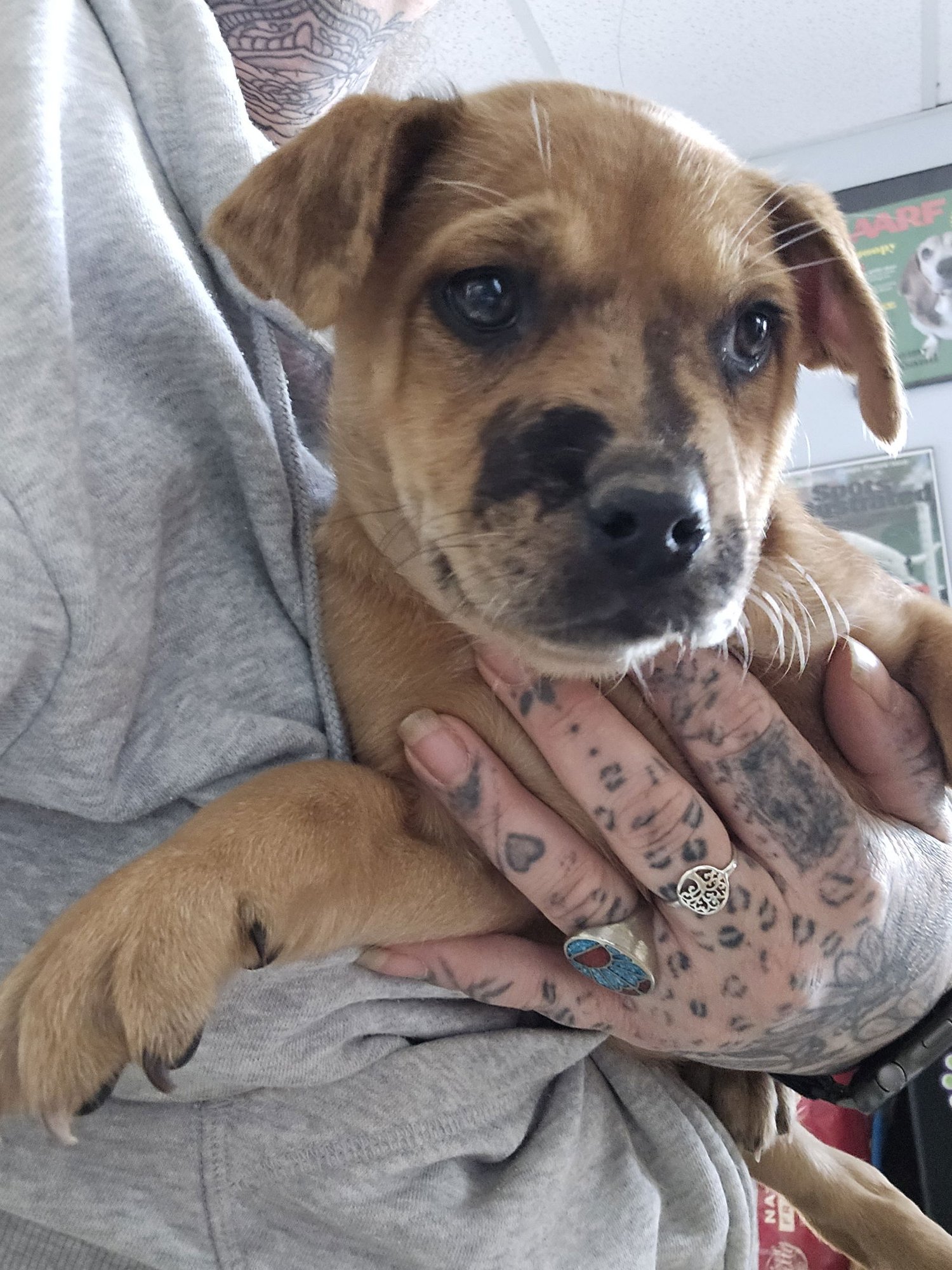 Peaches #5 - Photo 3