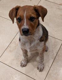Ellie #7 - Photo 1