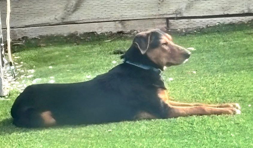 Amber Lynn #1 - Photo 3