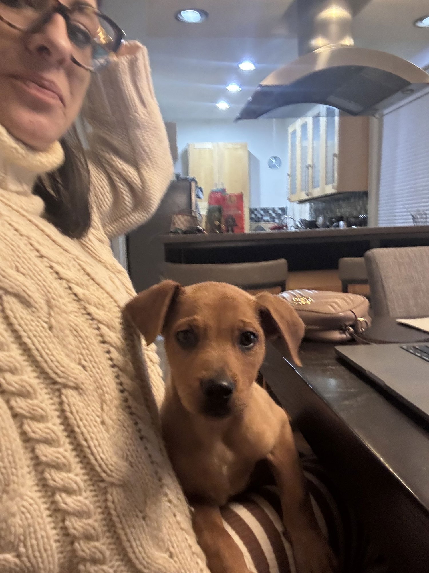 Biscuit #2 - Photo 4