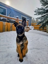 Zuri #1 - Photo 3