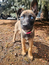 Zuri #1 - Photo 4