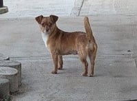 Vija #1 - Photo 1