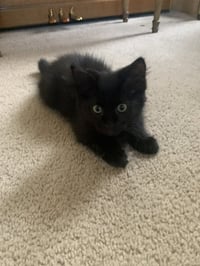 Otis - Photo 3