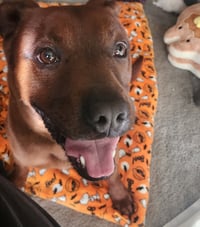 Roscoe (Courtesy) - Photo 2