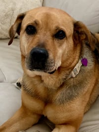 Sally #4 - Photo 6