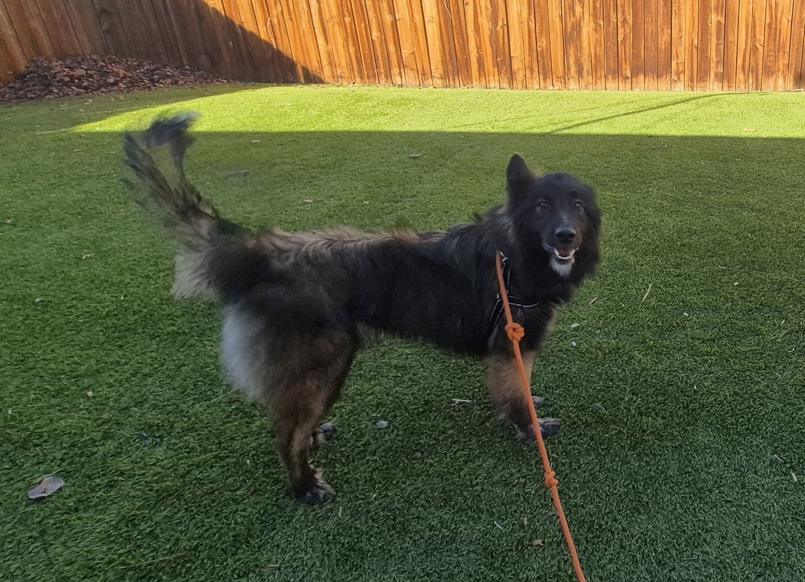 Chencha #1 - Photo 3