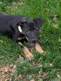 Brenda #2 - Photo 3
