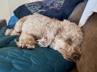 Fleetwood #1 - Photo 4