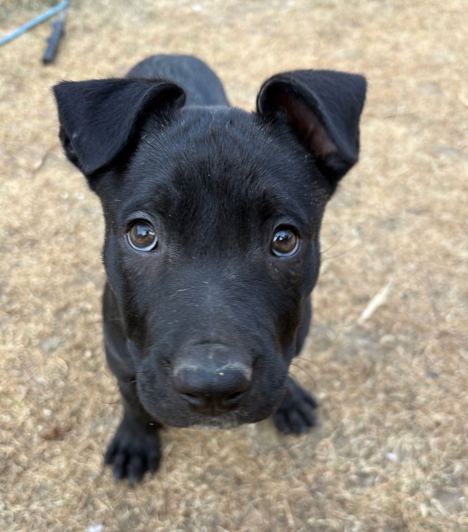 Zamira  #1 - Photo 3