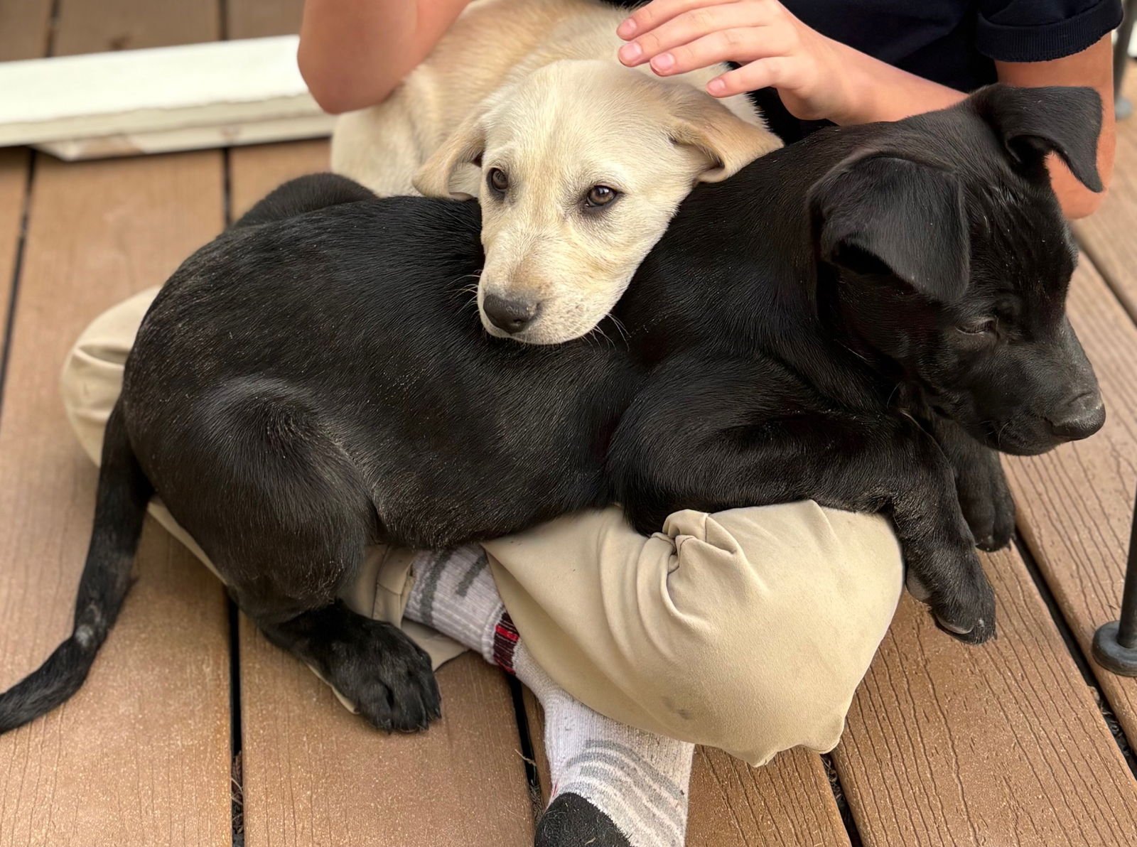 Zamira  #1 - Photo 4