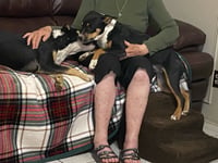 Linus and Lucy (Courtesy) - Photo 4