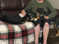 Linus and Lucy (Courtesy) - Photo 3