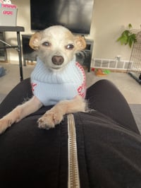 Ms. Endive #1 - Photo 4