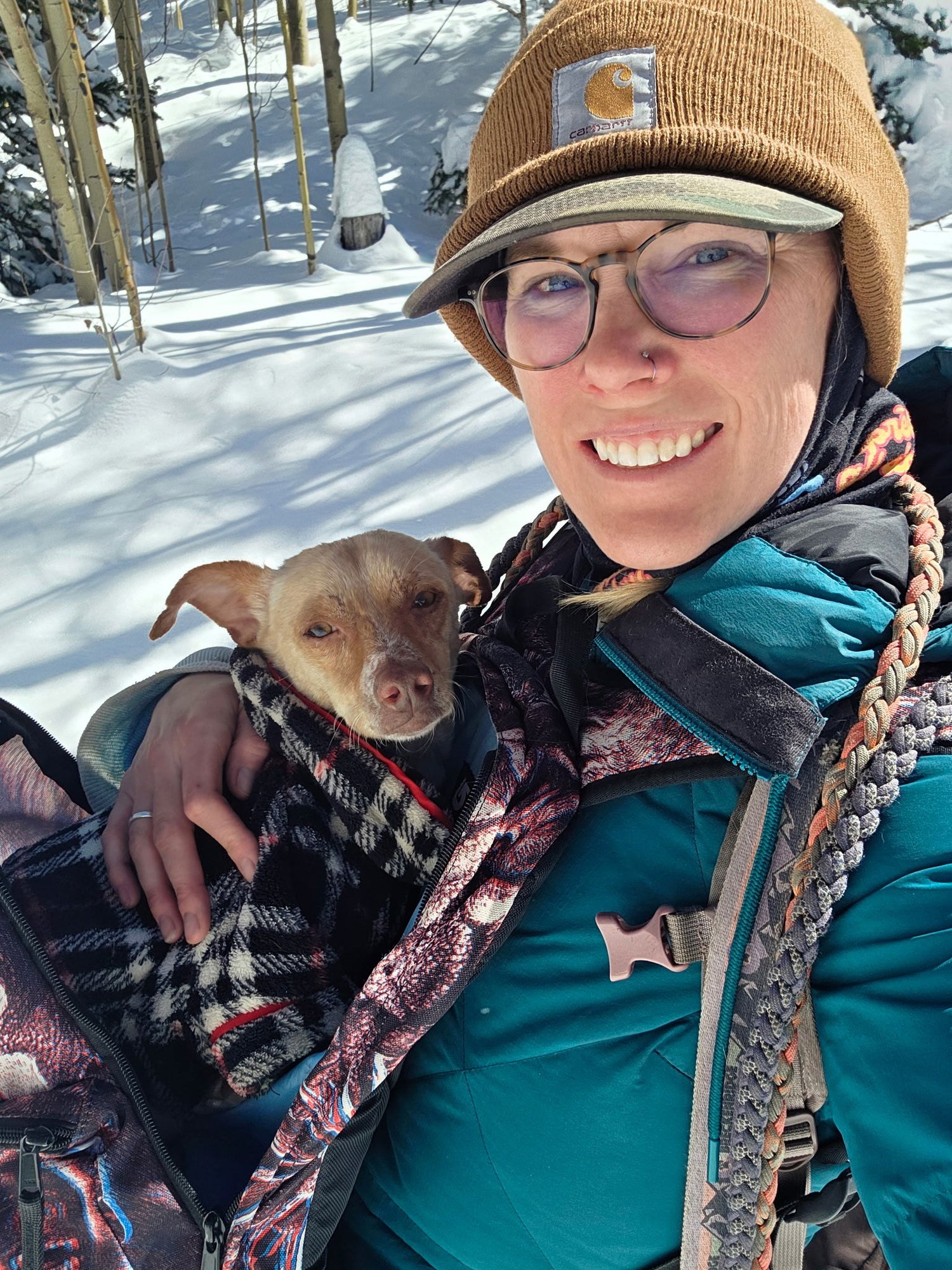 Firulias #1 - Photo 3