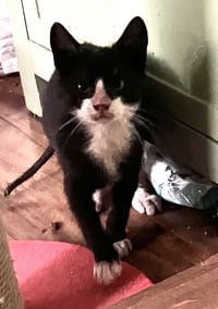 Junebug - Photo 2
