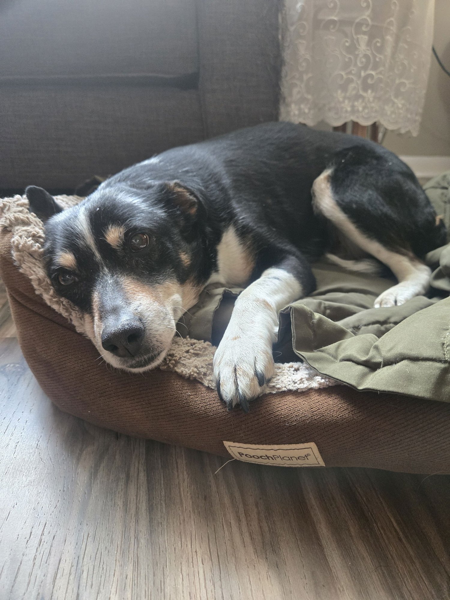 Left Eye #1 - Photo 2