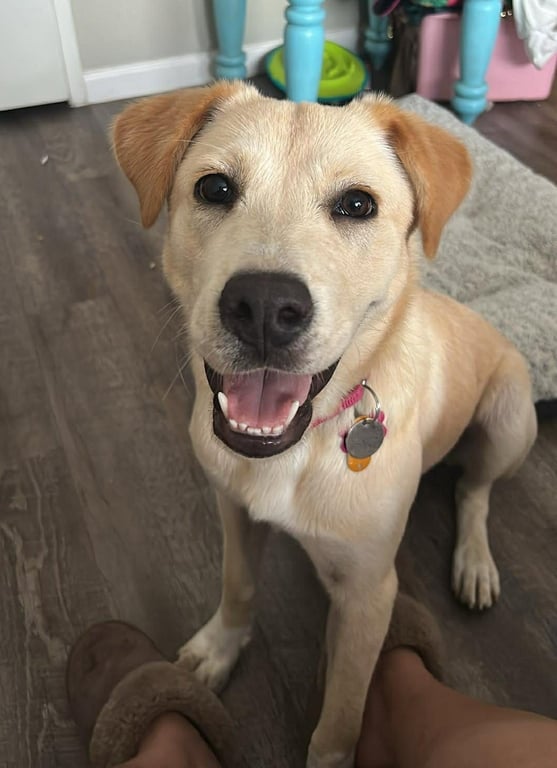 Madeline (Courtesy) Image