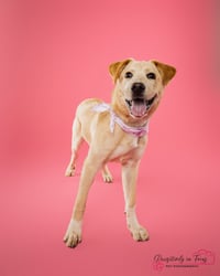 Madeline (Courtesy) - Photo 3