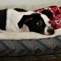 Paige #3 - Photo 4