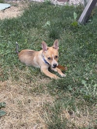 Lainey #1 - Photo 2