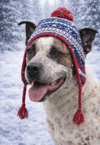Stix (Courtesy) - Photo 4