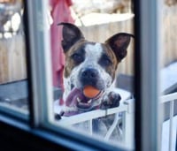 Stix (Courtesy) - Photo 3