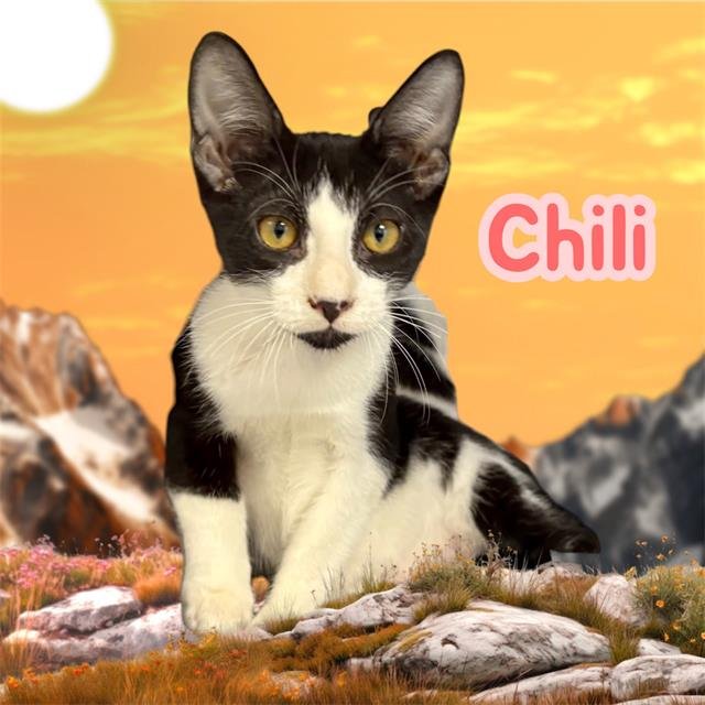 *CHILI Image