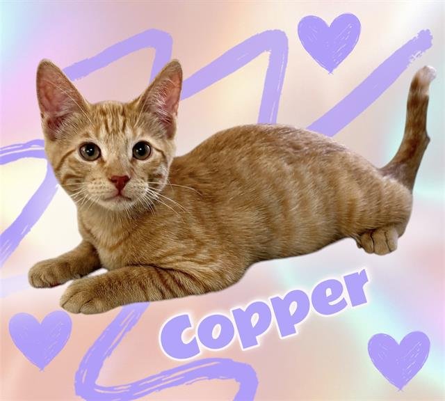 *COPPER Image