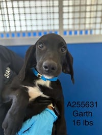 *GARTH - Photo 1