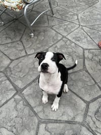 Delilah - Photo 1