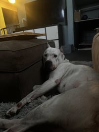 Ellie May - Photo 3