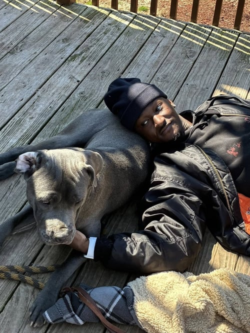 CYRAX - Cane Corso Mastiff available for adoption