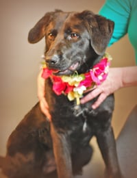 Sadie - Photo 3
