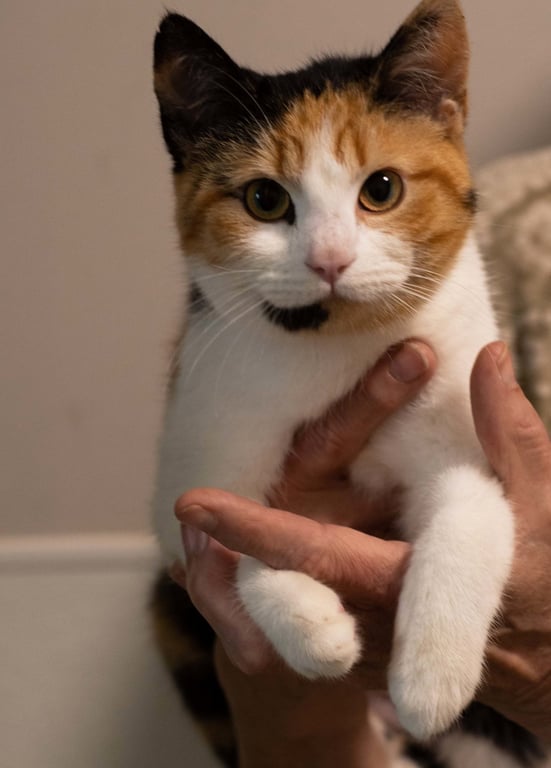 Cathy Image