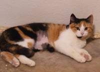 Cathy - Photo 2