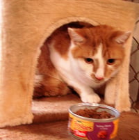 Georgy - Photo 2
