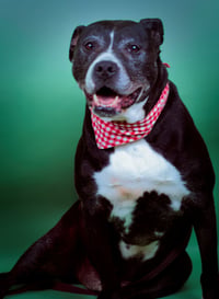 Farley - Photo 3