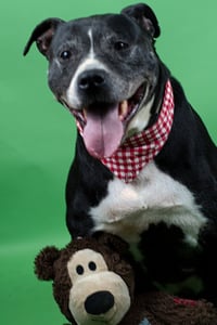 Farley - Photo 1