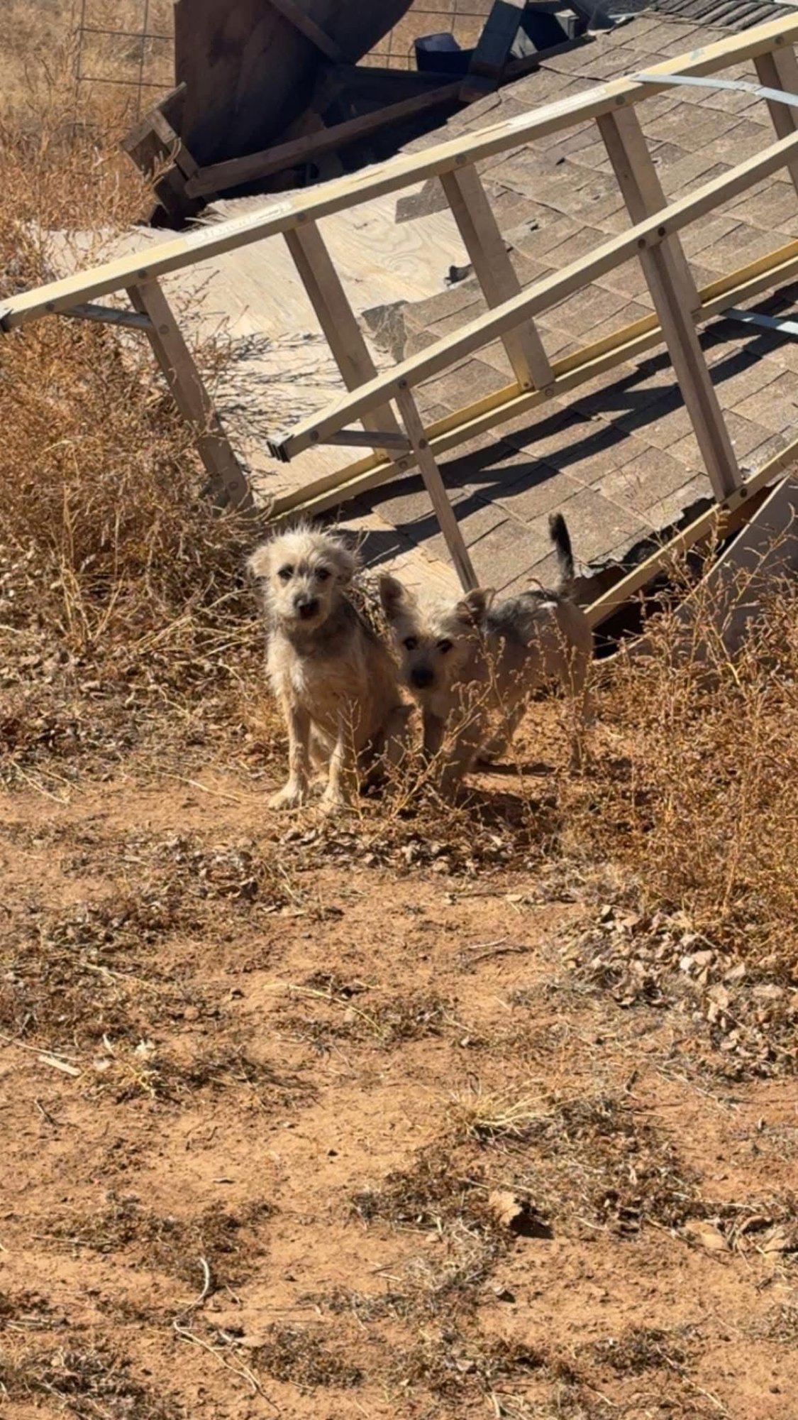 Elliot - ADOPTION IN PROCESS - Photo 4