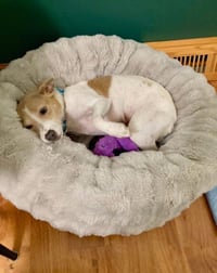 Mama Peaches - Photo 4